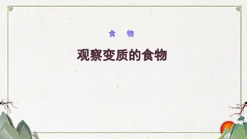新教科版四年级下册科学5观察变质的食物教学课件设计