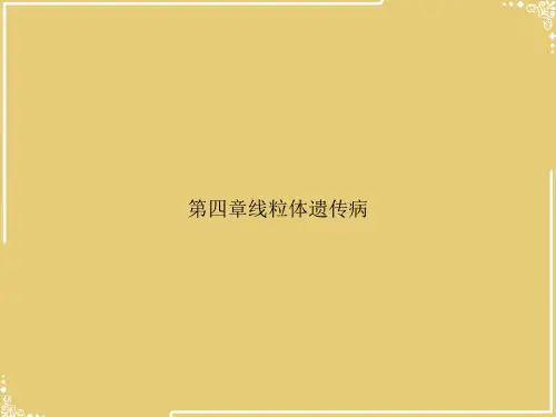 第四章线粒体遗传病【共33张PPT】