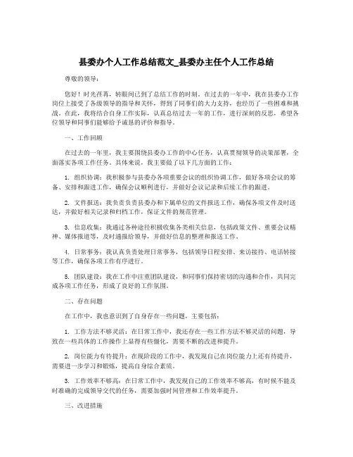 县委办个人工作总结范文_县委办主任个人工作总结