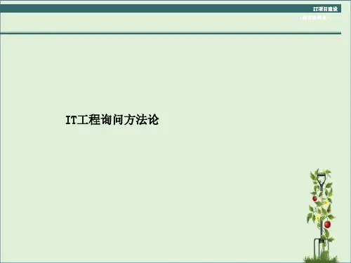 IT项目咨询方法论讲解