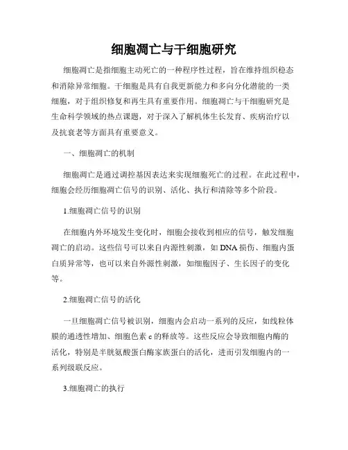 细胞凋亡与干细胞研究