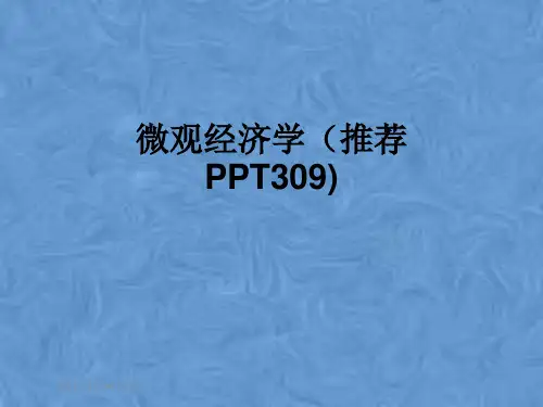 微观经济学(推荐PPT309)