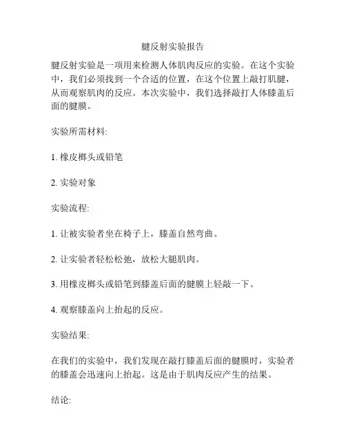 腱反射实验报告