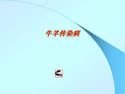 羊梭菌性疾病