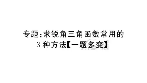 人教版九年级下册数学作业课件 第二十八章锐角三角函数 专题：求锐角三角函数常用的3种方法(一题多变)