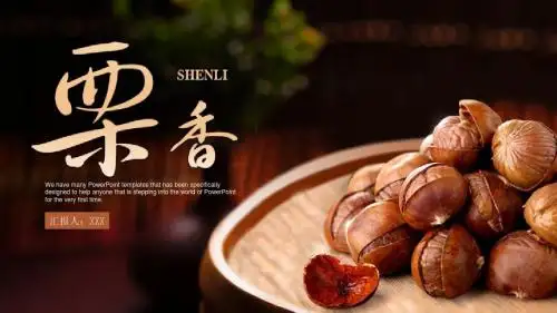板栗零食介绍ppt模板