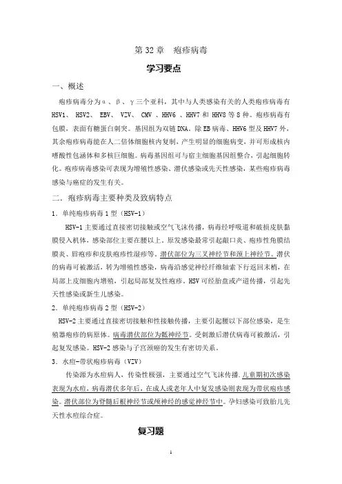 疱疹病毒