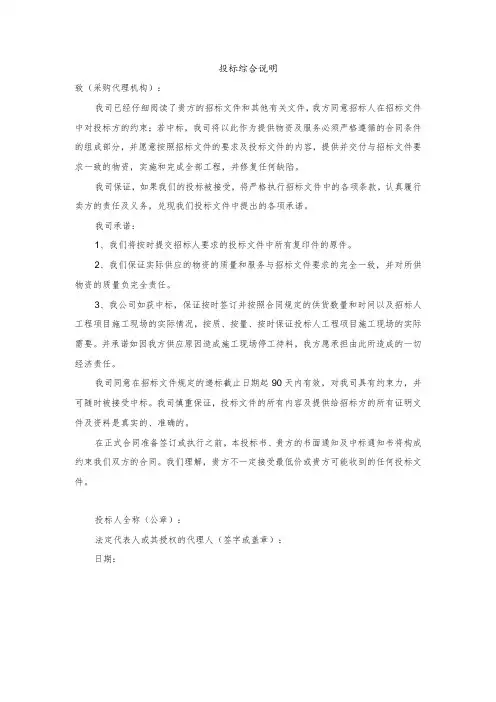 投标综合说明