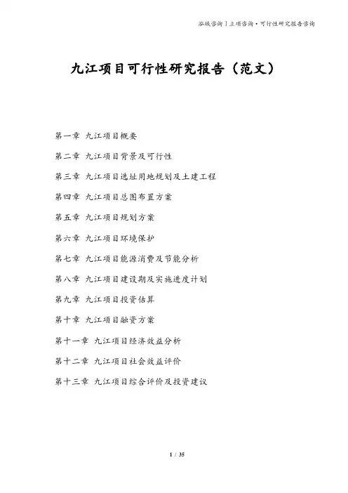 九江项目可行性研究报告(范文)