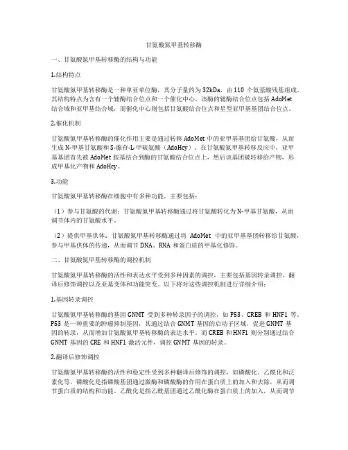 甘氨酸氮甲基转移酶