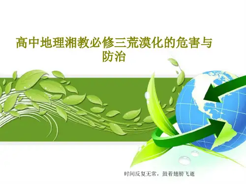 高中地理湘教必修三荒漠化的危害与防治29页PPT