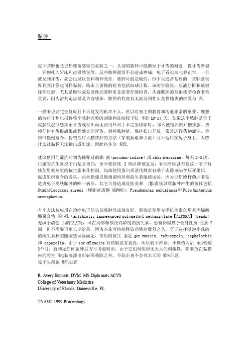 兔子脓包成因及治疗