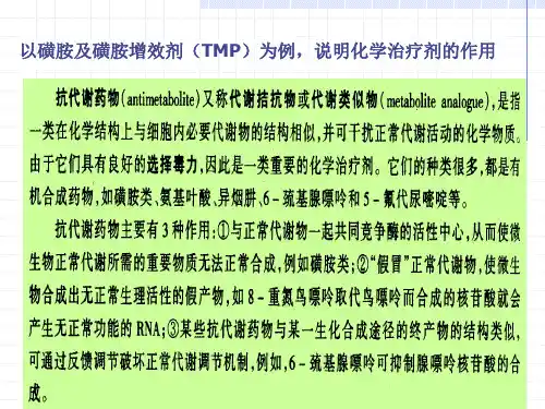 磺胺