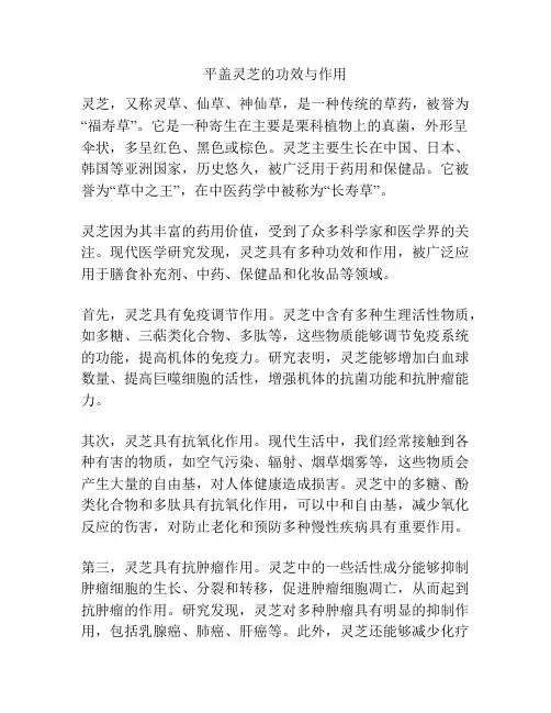 平盖灵芝的功效与作用