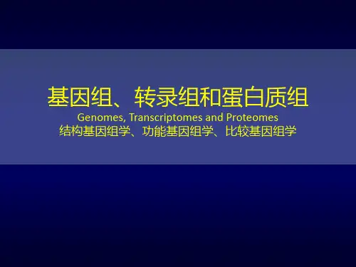 基因组、转录组和蛋白组