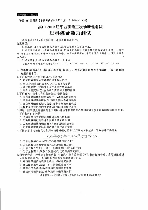 四川省教考联盟2019届高三第三次诊断性考试理科综合试题 含答案