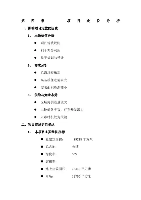 项目定位分析