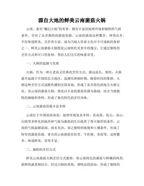 源自大地的鲜美云南菌菇火锅