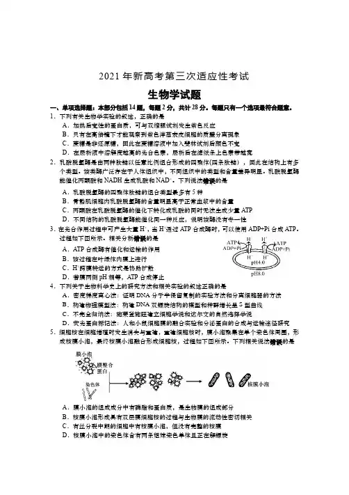 江苏省南通市如皋市2021届高三下学期5月第三次适应性考试(三模) 生物 试题(含答案)