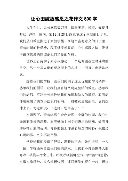 让心田绽放感恩之花作文800字