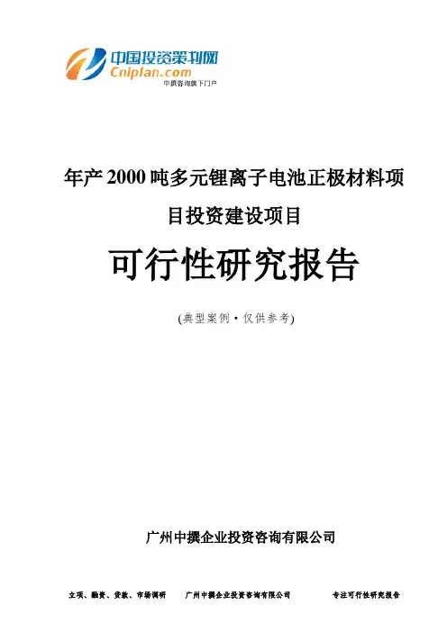 年产2000吨多元锂离子电池正极材料项目投资建设项目可行性研究报告-广州中撰咨询