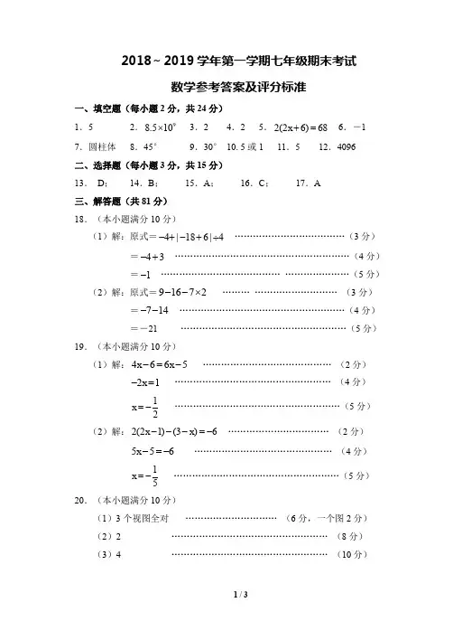 市2018~2019七年级期末试卷答案及评分标准