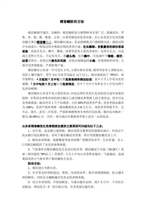 棉盲蝽防治方法