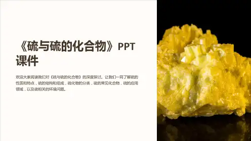 《硫与硫的化合物》课件