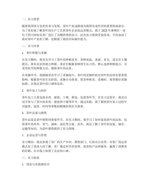 茶厂实习报告