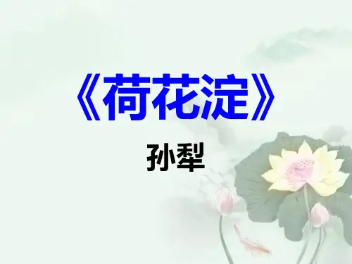 《荷花淀》PPT课件