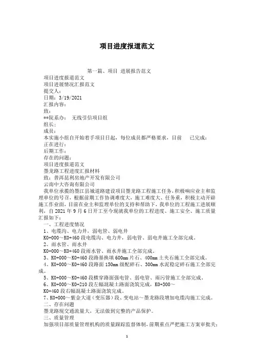 项目进度报道范文