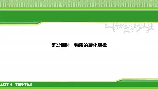 【华师大版】科学中考一轮复习：第23课时-物质的转化规律ppt课件