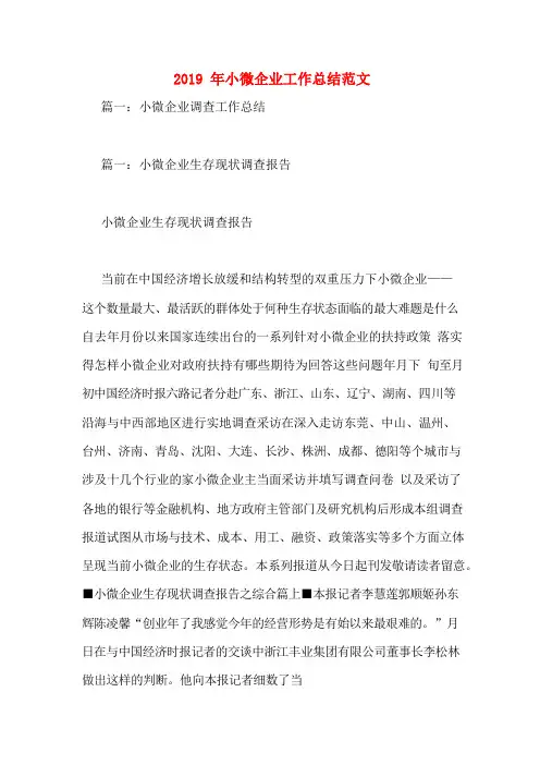 2019年小微企业工作总结范文
