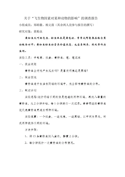 黄粉虫研究报告