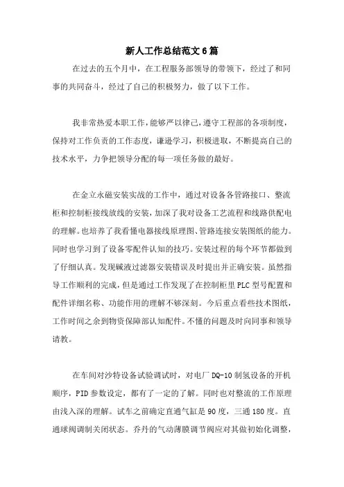 新人工作总结范文6篇