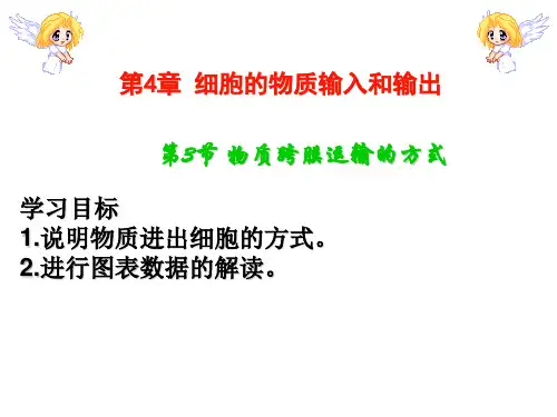 人教生物必修1第4章第3节物质跨膜运输的方式
