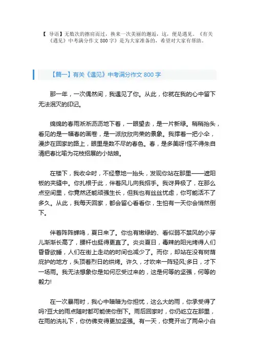 有关《遇见》中考满分作文800字