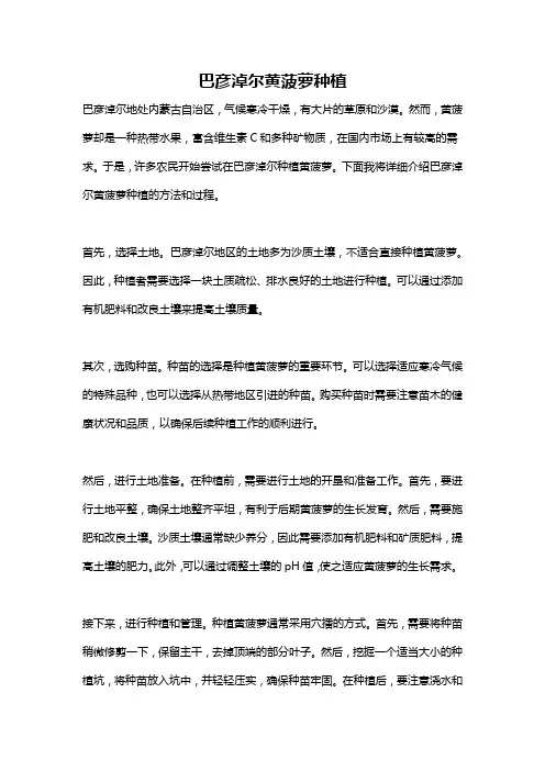 巴彦淖尔黄菠萝种植