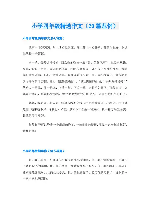 小学四年级精选作文(20篇范例)