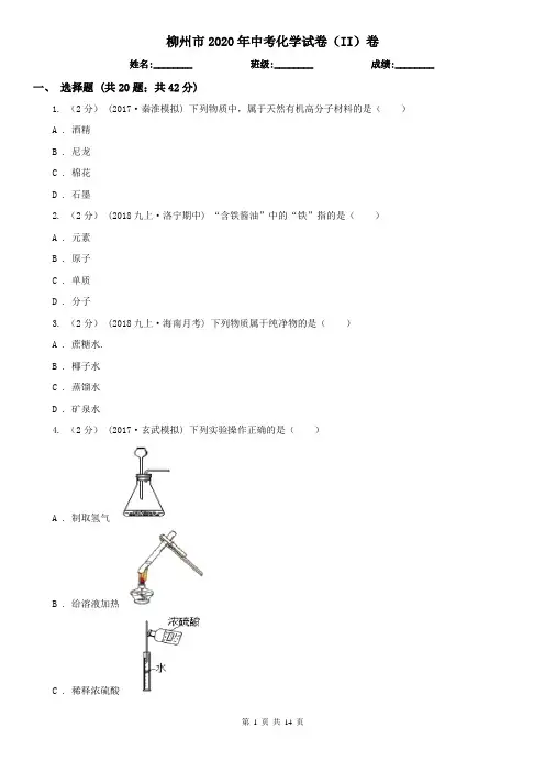 柳州市2020年中考化学试卷(II)卷