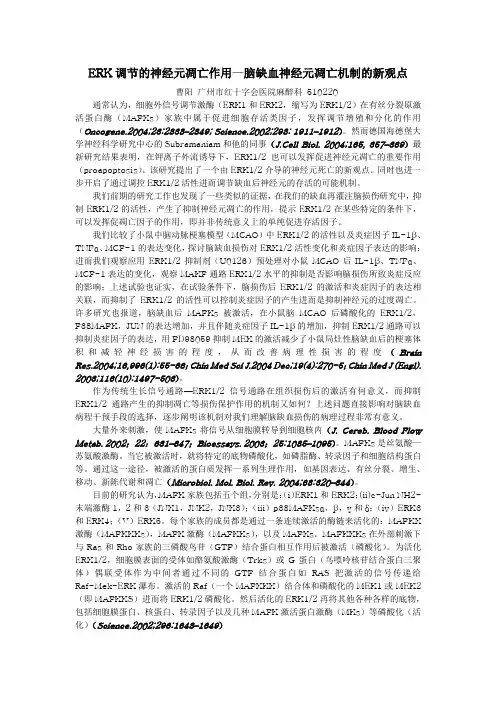 ERK调节的神经元凋亡作用脑缺血神经元凋亡机制的新观