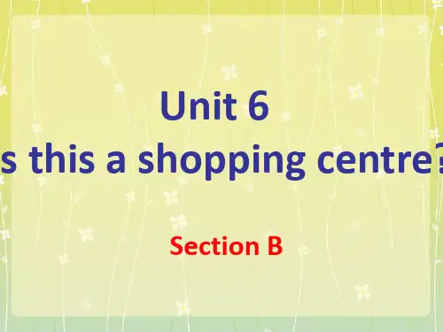五年级下册英语Unit 6 Is this a shopping centre Section B 2 湘鲁版