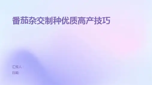 番茄杂交制种优质高产技巧