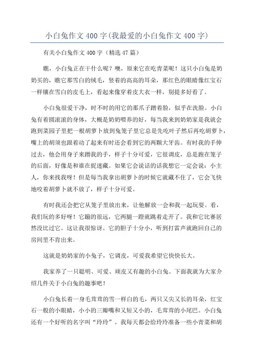 小白兔作文400字(我最爱的小白兔作文400字)