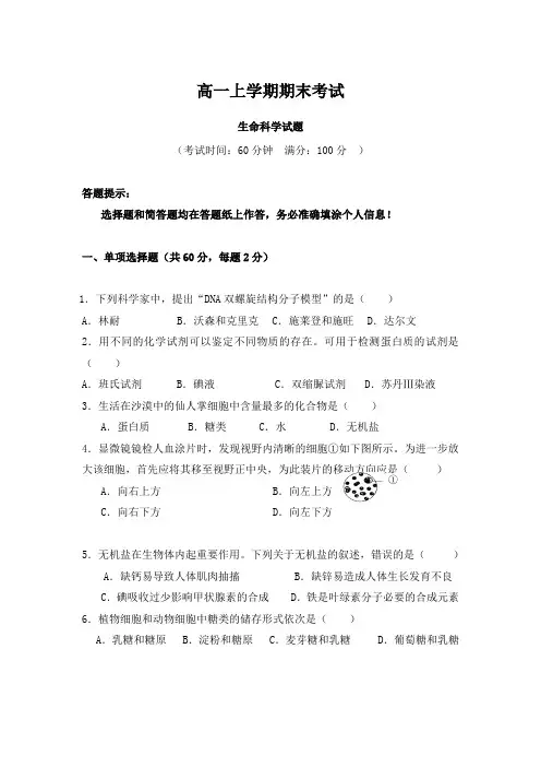2018-2019学年上海市高一上学期期末考试生命科学试题9