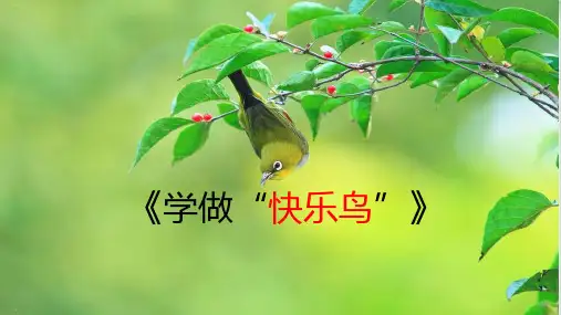 二年级下册道德与法治PPT课件学做快乐鸟人教新版