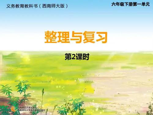 西师版六年级数学下册 百分数整理与复习二