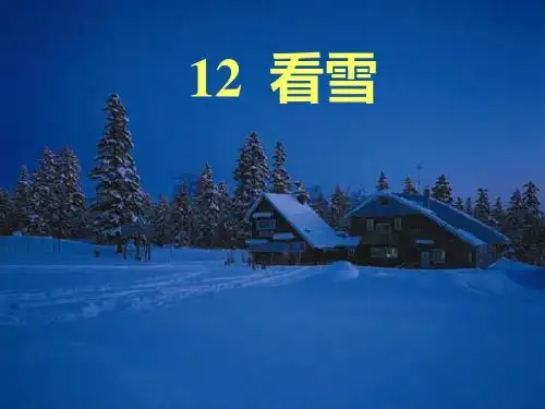 看雪-PPT精选文档