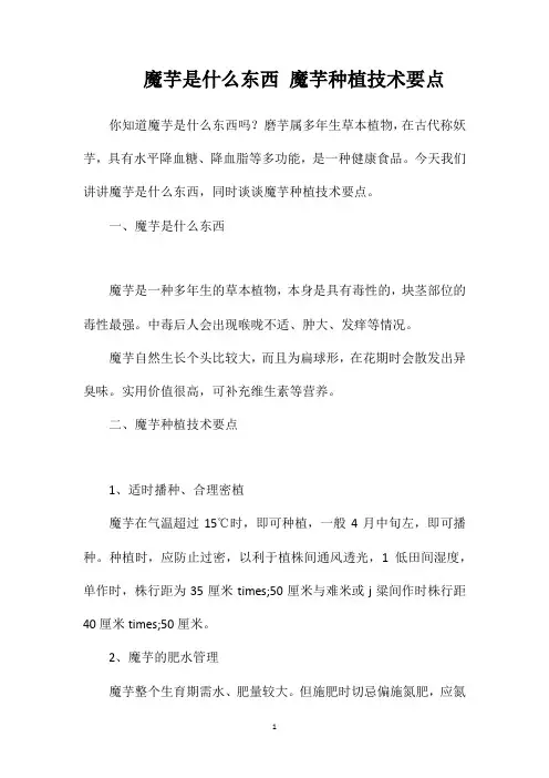 魔芋是什么东西魔芋种植技术要点