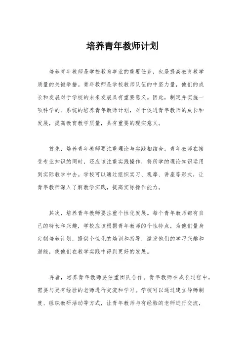 培养青年教师计划